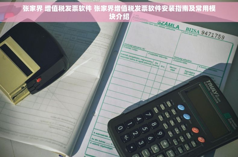 张家界 增值税发票软件 张家界增值税发票软件安装指南及常用模块介绍