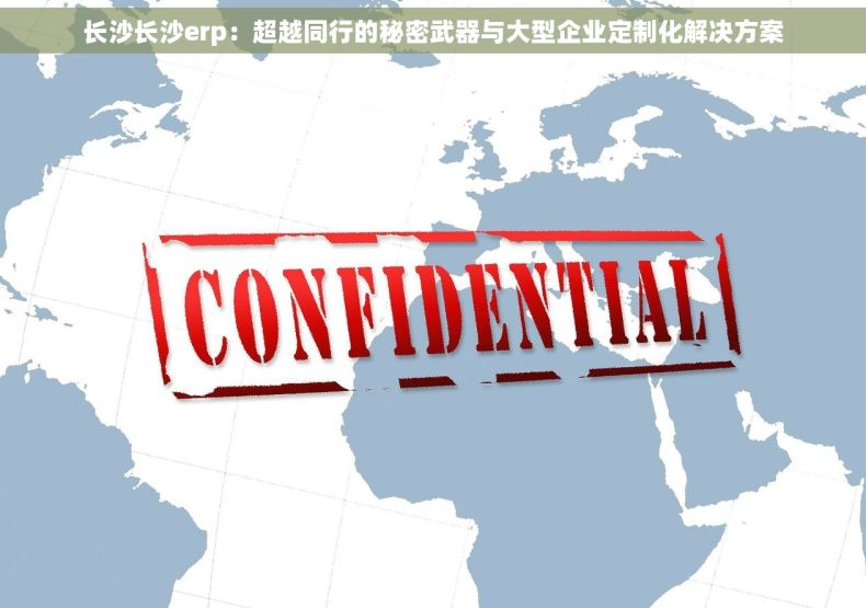 长沙长沙erp：超越同行的秘密武器与大型企业定制化解决方案