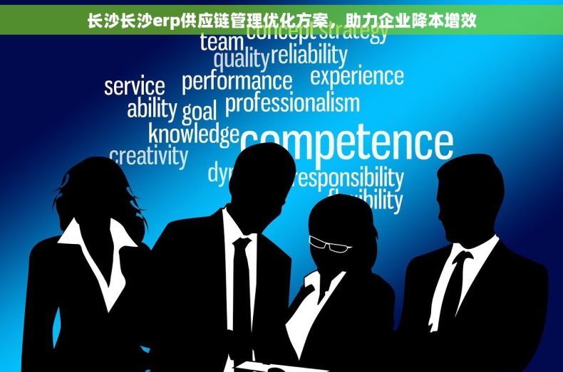 长沙长沙erp供应链管理优化方案，助力企业降本增效