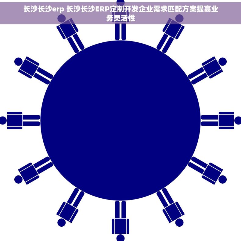长沙长沙erp 长沙长沙ERP定制开发企业需求匹配方案提高业务灵活性