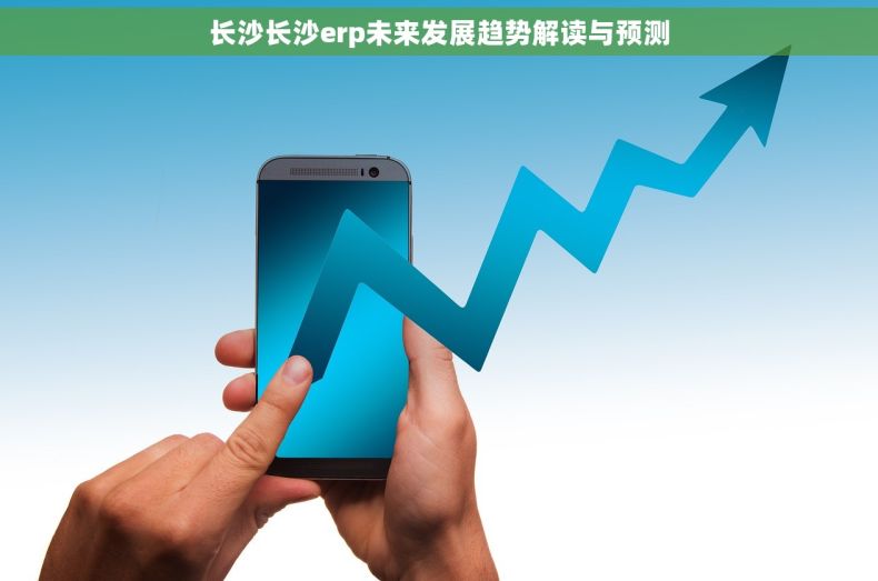 长沙长沙erp未来发展趋势解读与预测