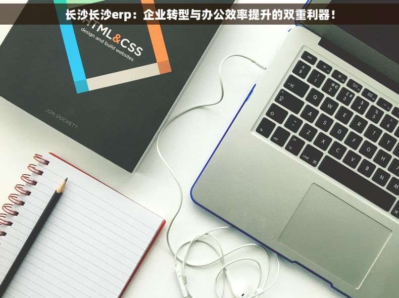 长沙长沙erp：企业转型与办公效率提升的双重利器！