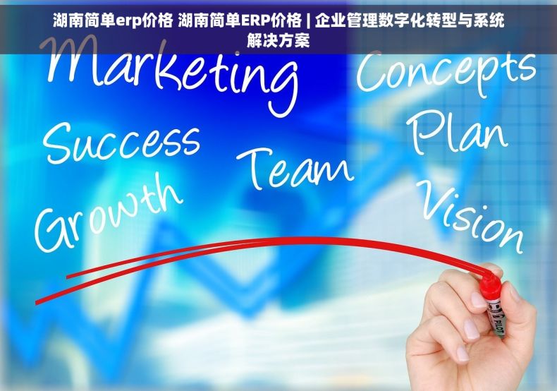 湖南简单erp价格 湖南简单ERP价格 | 企业管理数字化转型与系统解决方案