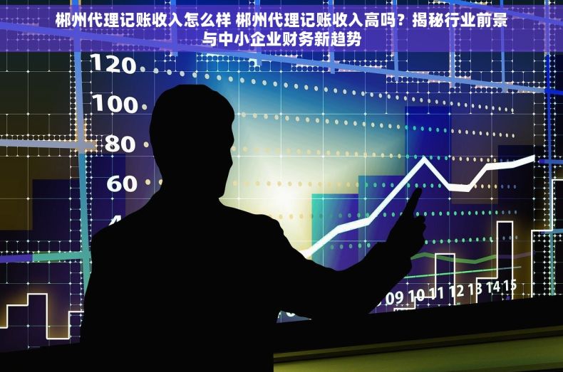 郴州代理记账收入怎么样 郴州代理记账收入高吗？揭秘行业前景与中小企业财务新趋势