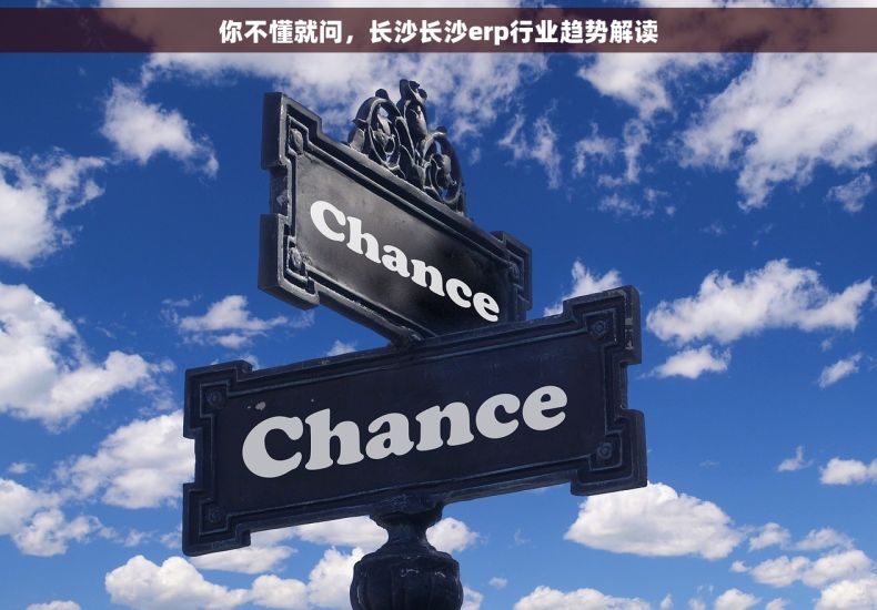 你不懂就问，长沙长沙erp行业趋势解读