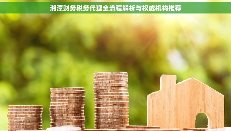 湘潭财务税务代理全流程解析与权威机构推荐