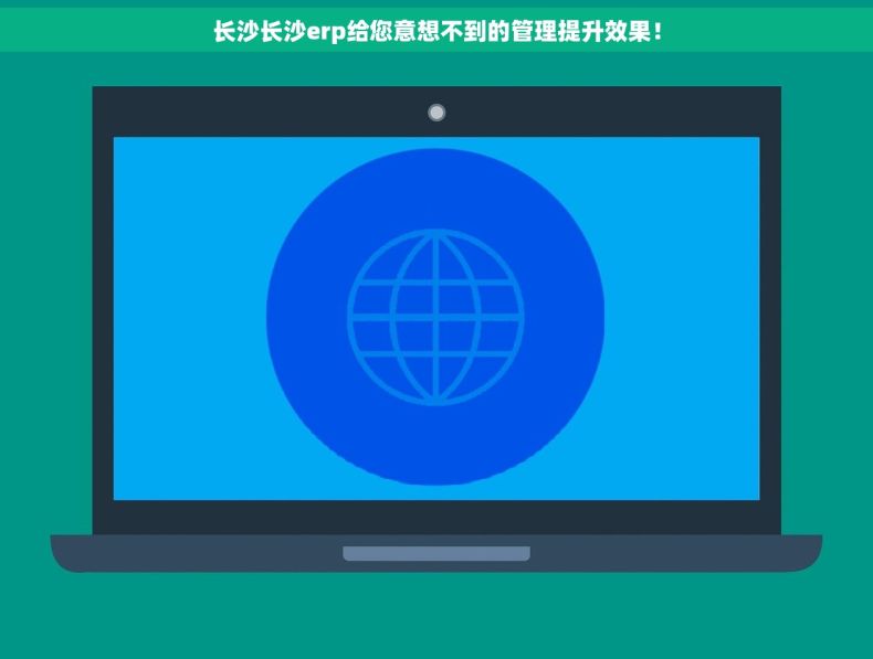 长沙长沙erp给您意想不到的管理提升效果！