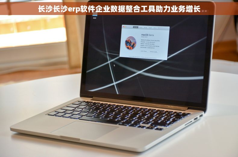 长沙长沙erp软件企业数据整合工具助力业务增长