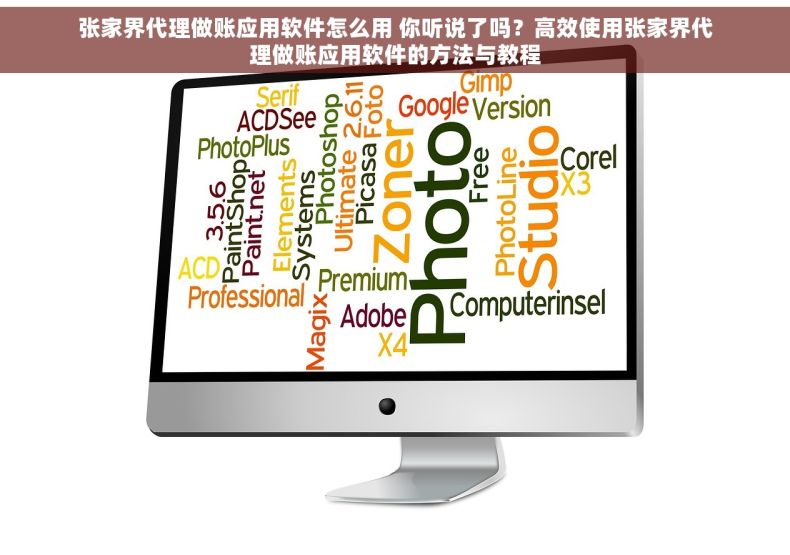 张家界代理做账应用软件怎么用 你听说了吗？高效使用张家界代理做账应用软件的方法与教程