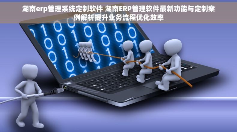 湖南erp管理系统定制软件 湖南ERP管理软件最新功能与定制案例解析提升业务流程优化效率