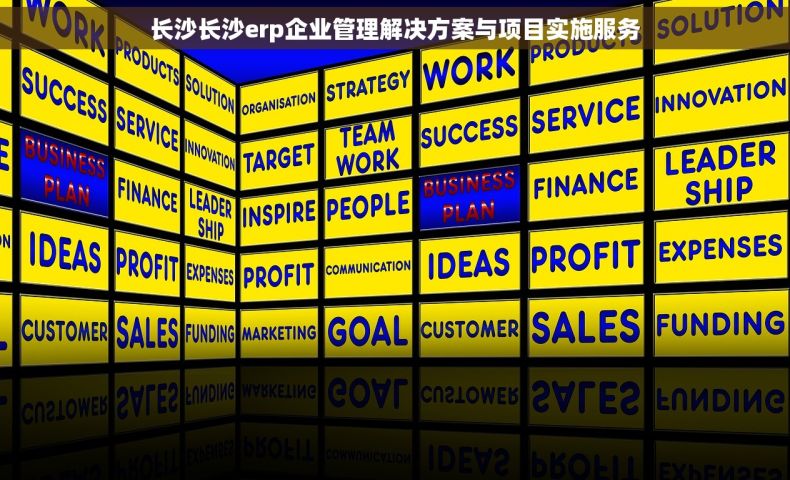 长沙长沙erp企业管理解决方案与项目实施服务