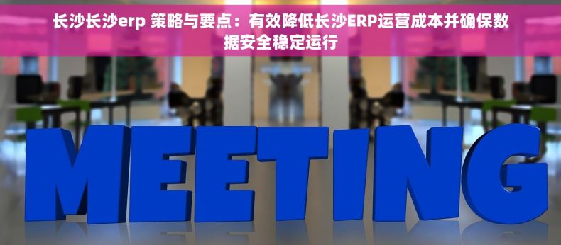 长沙长沙erp 策略与要点：有效降低长沙ERP运营成本并确保数据安全稳定运行