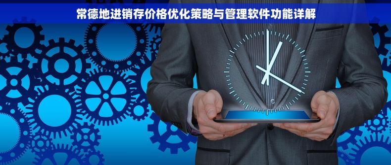 常德地进销存价格优化策略与管理软件功能详解