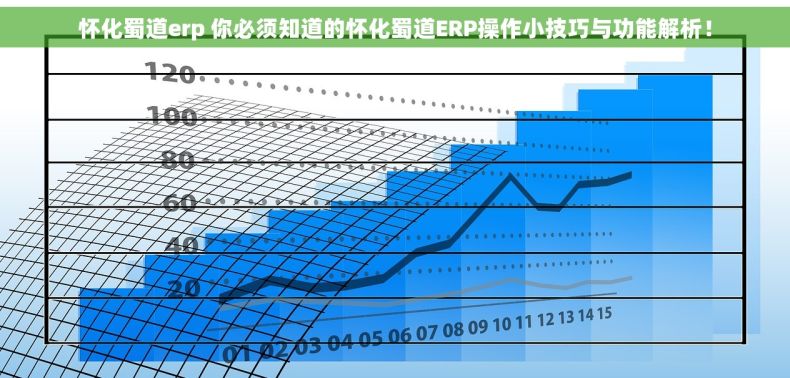 怀化蜀道erp 你必须知道的怀化蜀道ERP操作小技巧与功能解析！