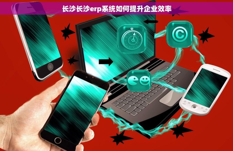 长沙长沙erp系统如何提升企业效率