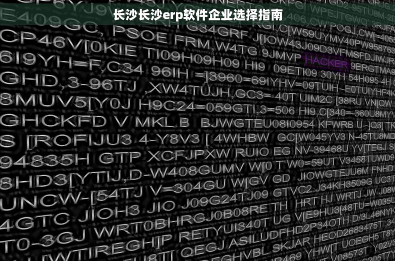 长沙长沙erp软件企业选择指南