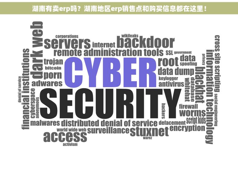 湖南有卖erp吗？湖南地区erp销售点和购买信息都在这里！