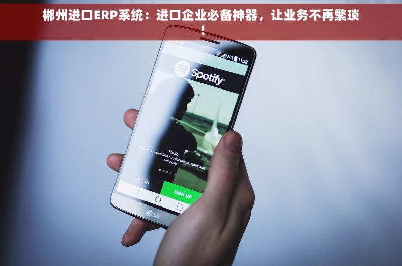 郴州进口ERP系统：进口企业必备神器，让业务不再繁琐！