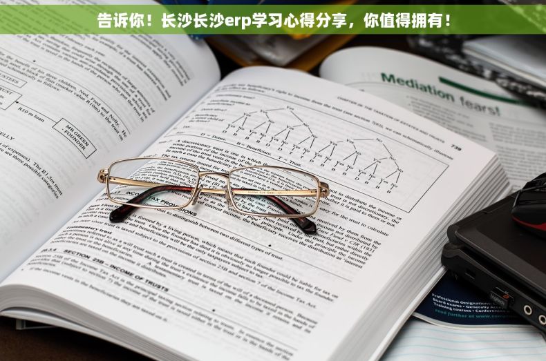 告诉你！长沙长沙erp学习心得分享，你值得拥有！