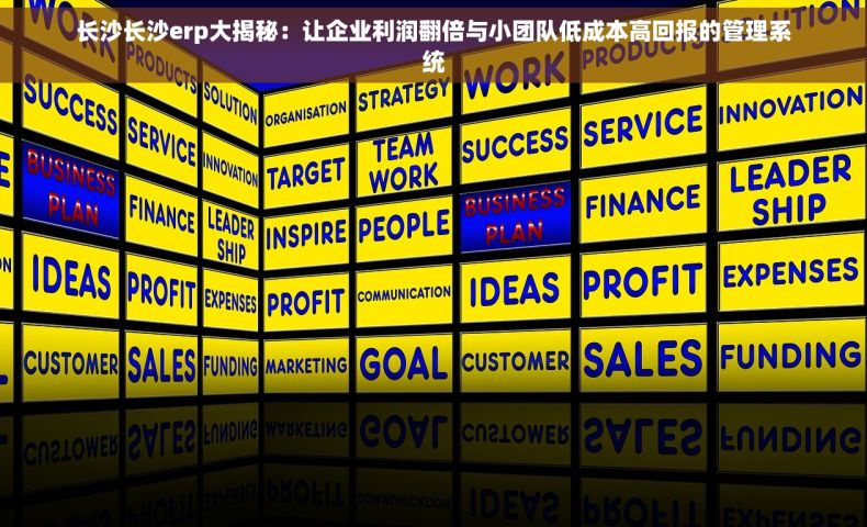 长沙长沙erp大揭秘：让企业利润翻倍与小团队低成本高回报的管理系统