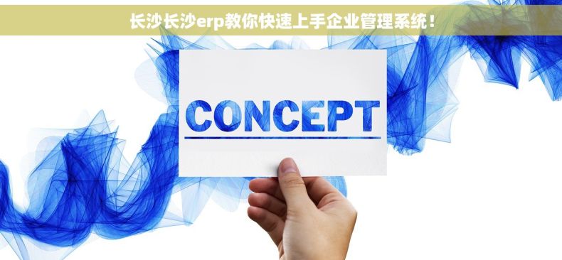 长沙长沙erp教你快速上手企业管理系统！