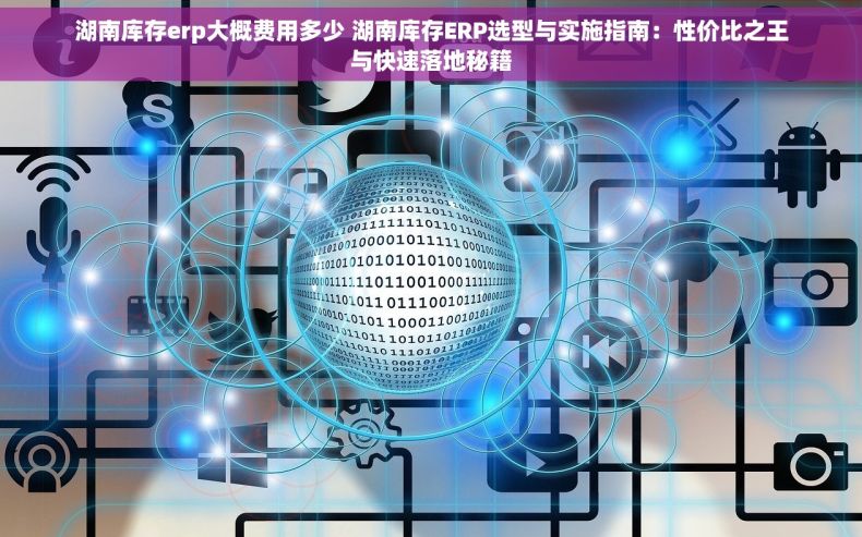 湖南库存erp大概费用多少 湖南库存ERP选型与实施指南：性价比之王与快速落地秘籍