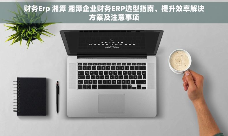 财务Erp 湘潭 湘潭企业财务ERP选型指南、提升效率解决方案及注意事项