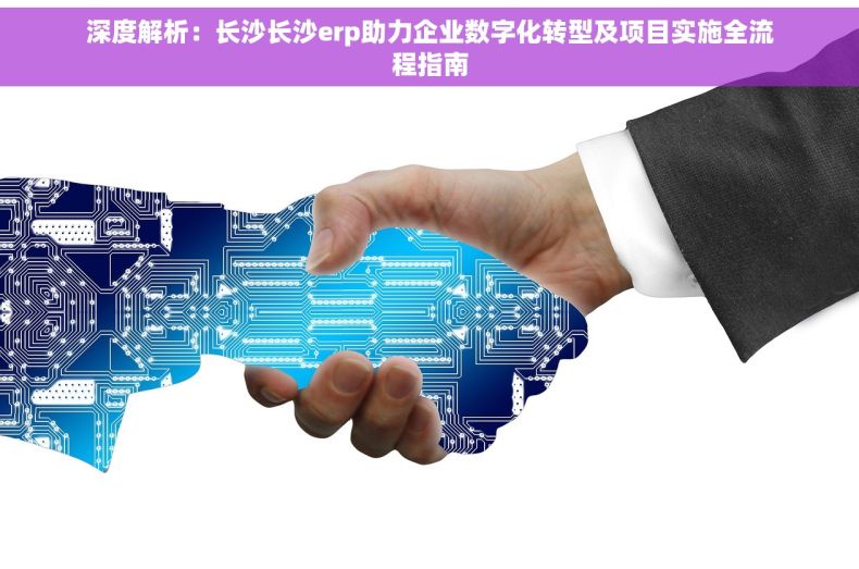 深度解析：长沙长沙erp助力企业数字化转型及项目实施全流程指南