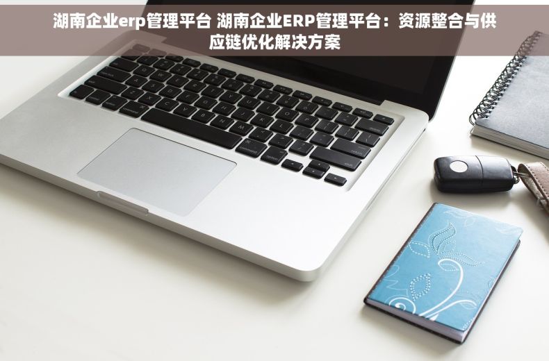 湖南企业erp管理平台 湖南企业ERP管理平台：资源整合与供应链优化解决方案