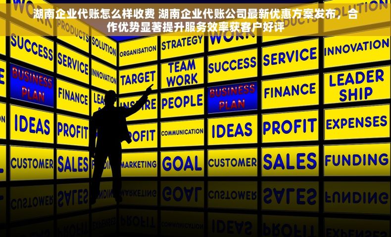 湖南企业代账怎么样收费 湖南企业代账公司最新优惠方案发布，合作优势显著提升服务效率获客户好评