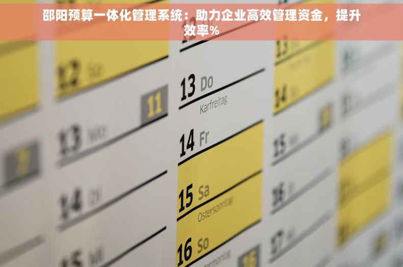 邵阳预算一体化管理系统：助力企业高效管理资金，提升效率%