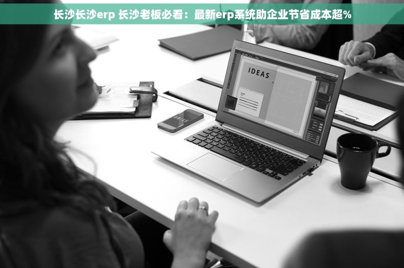 长沙长沙erp 长沙老板必看：最新erp系统助企业节省成本超%