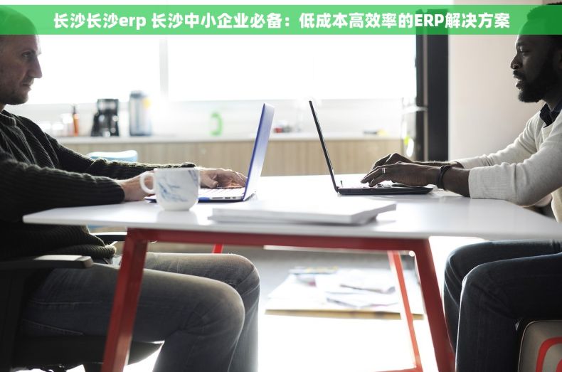 长沙长沙erp 长沙中小企业必备：低成本高效率的ERP解决方案