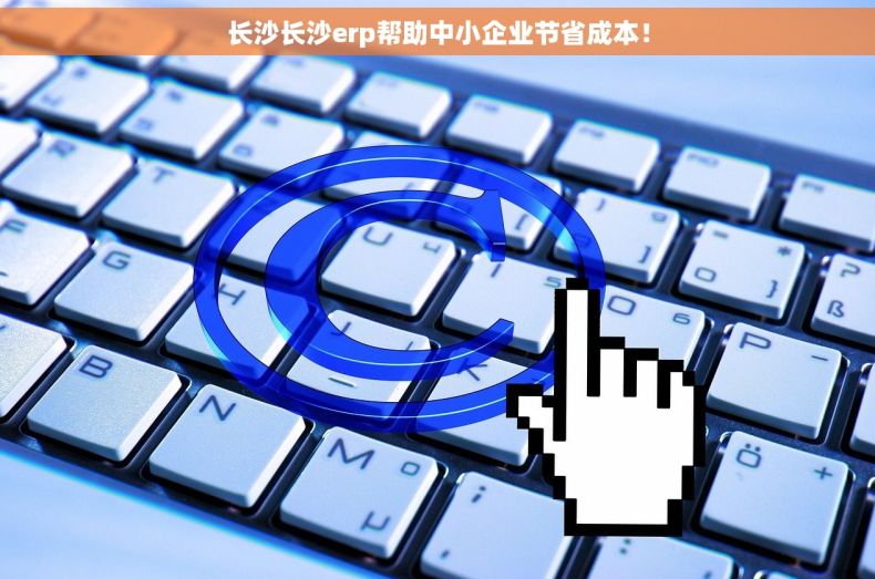 长沙长沙erp帮助中小企业节省成本！