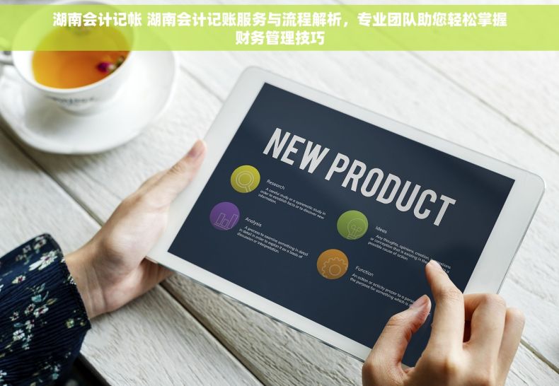 湖南会计记帐 湖南会计记账服务与流程解析，专业团队助您轻松掌握财务管理技巧