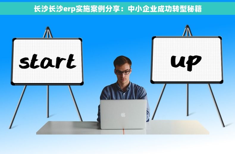 长沙长沙erp实施案例分享：中小企业成功转型秘籍