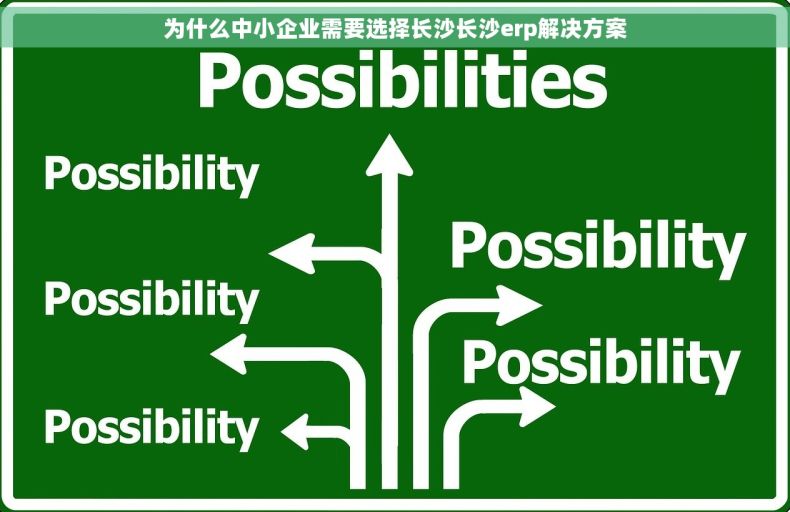 为什么中小企业需要选择长沙长沙erp解决方案
