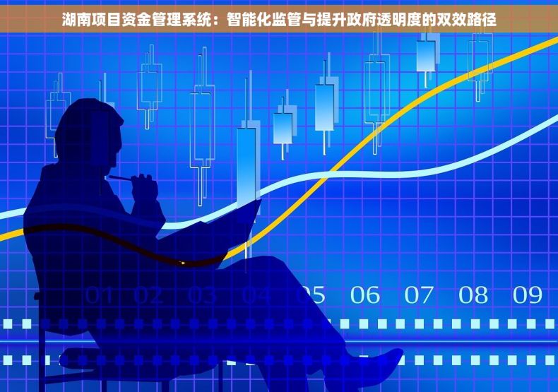 湖南项目资金管理系统：智能化监管与提升政府透明度的双效路径
