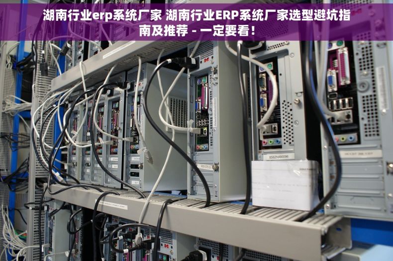 湖南行业erp系统厂家 湖南行业ERP系统厂家选型避坑指南及推荐 - 一定要看！