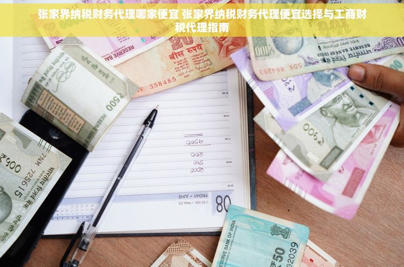 张家界纳税财务代理哪家便宜 张家界纳税财务代理便宜选择与工商财税代理指南