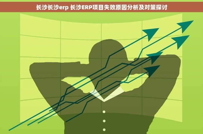 长沙长沙erp 长沙ERP项目失败原因分析及对策探讨