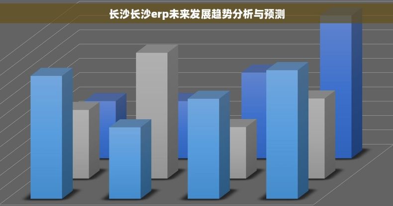 长沙长沙erp未来发展趋势分析与预测