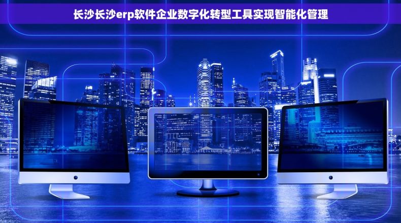 长沙长沙erp软件企业数字化转型工具实现智能化管理