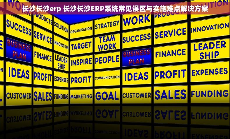 长沙长沙erp 长沙长沙ERP系统常见误区与实施难点解决方案