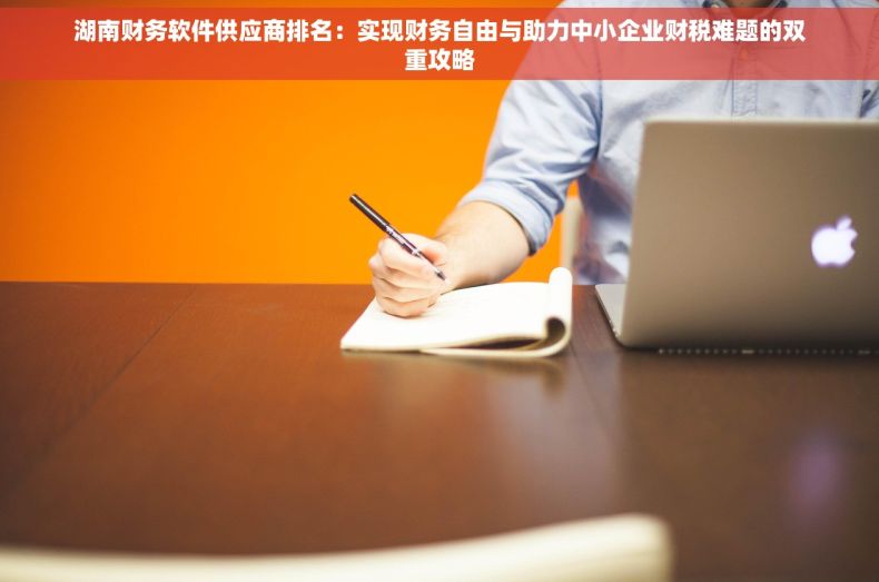 湖南财务软件供应商排名：实现财务自由与助力中小企业财税难题的双重攻略