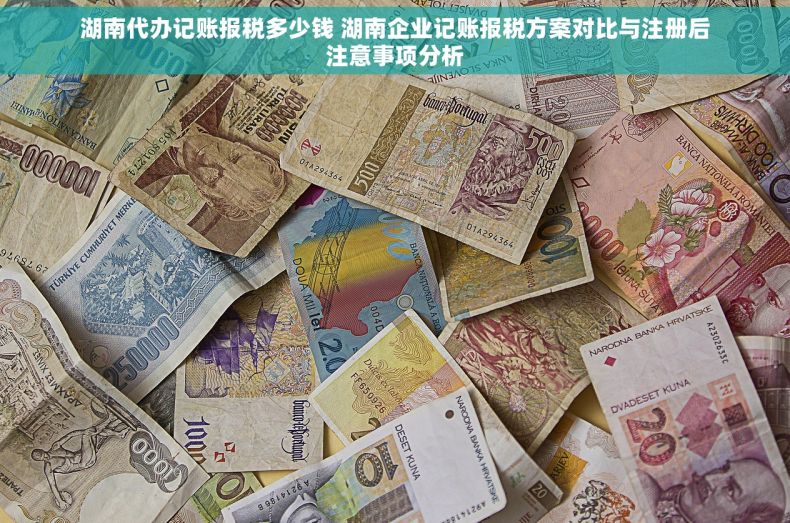 湖南代办记账报税多少钱 湖南企业记账报税方案对比与注册后注意事项分析