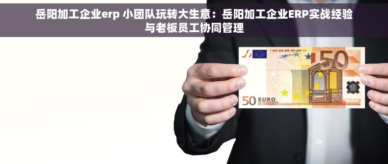岳阳加工企业erp 小团队玩转大生意：岳阳加工企业ERP实战经验与老板员工协同管理