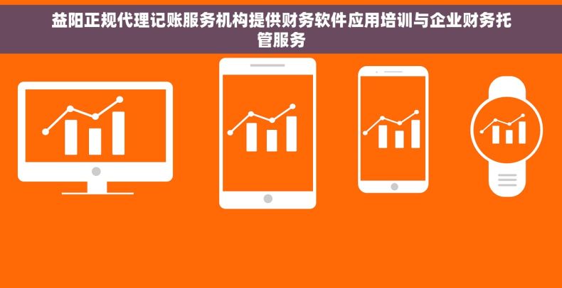 益阳正规代理记账服务机构提供财务软件应用培训与企业财务托管服务