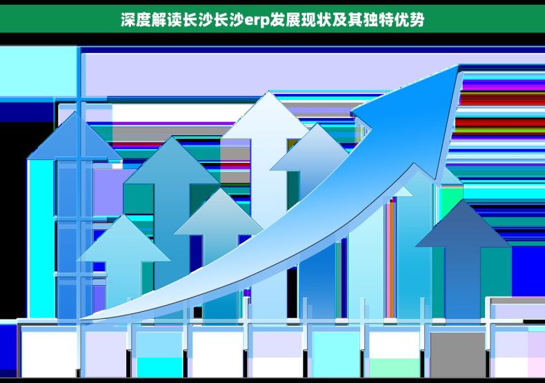 深度解读长沙长沙erp发展现状及其独特优势