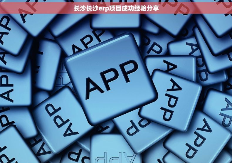 长沙长沙erp项目成功经验分享
